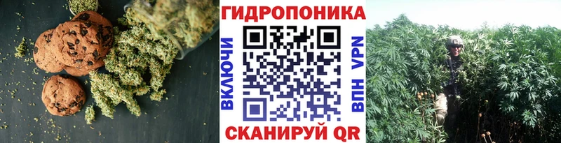 ссылка на мегу ссылка  Каменск-Уральский  Cannafood марихуана  закладки 