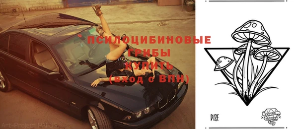 индика Алексеевка