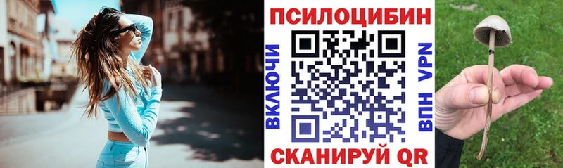Псилоцибиновые грибы GOLDEN TEACHER  Каменск-Уральский 